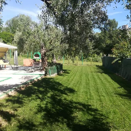 Azienda Agricola 