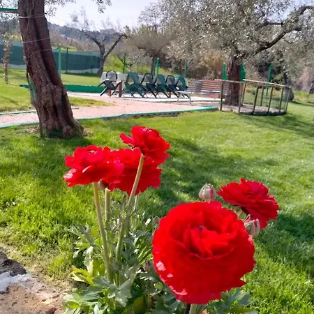 Azienda Agricola 