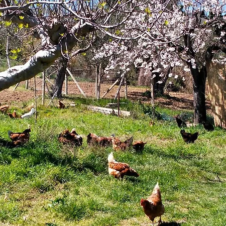 Casa di campagna Azienda Agricola 