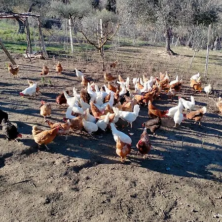 Azienda Agricola 