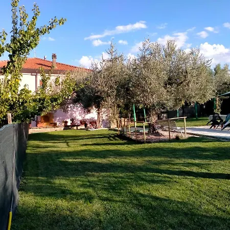 Azienda Agricola 