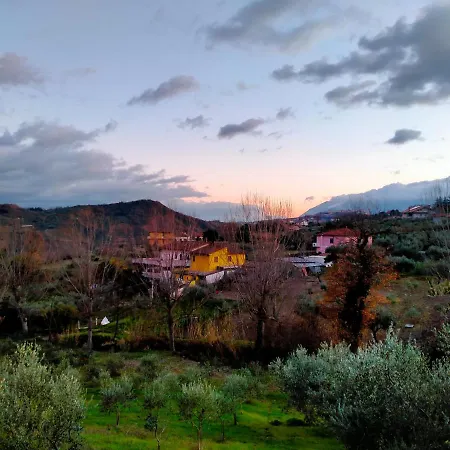 Azienda Agricola 