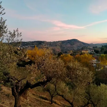 Azienda Agricola 